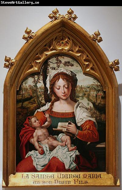 Pieter van Aelst Madonna witch Child